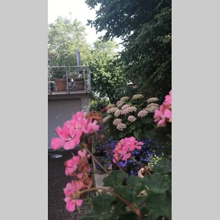 Wunderschoene Mit Blick Auf Weinberge Apartament *