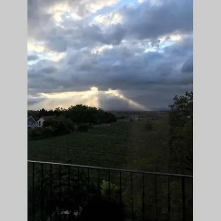 Wunderschoene Mit Blick Auf Weinberge 公寓