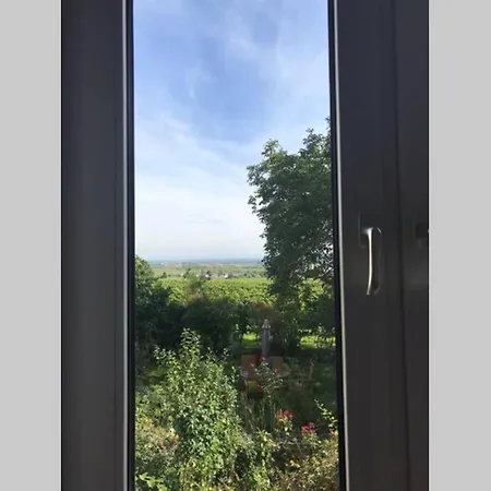 Wunderschoene Mit Blick Auf Weinberge * Neustadt an der Weinstraße