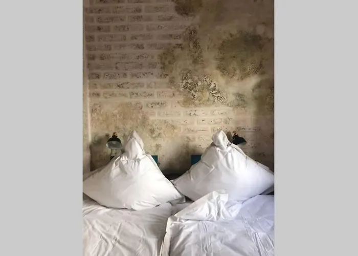 Wunderschoene Mit Blick Auf Weinberge Neustadt an der Weinstraße