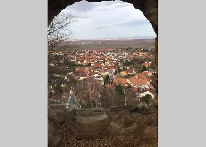 Wunderschoene Mit Blick Auf Weinberge Apartamento Neustadt an der Weinstraße