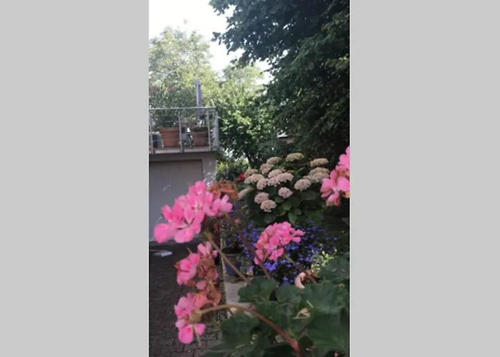 Wunderschoene Mit Blick Auf Weinberge 公寓 *