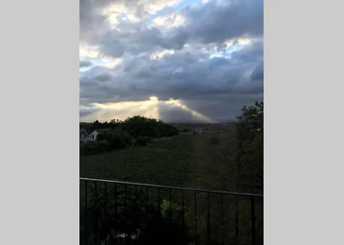 Wunderschoene Mit Blick Auf Weinberge Apartamento