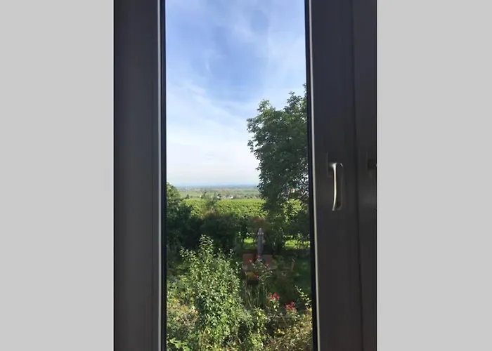 Wunderschoene Mit Blick Auf Weinberge * Neustadt an der Weinstraße