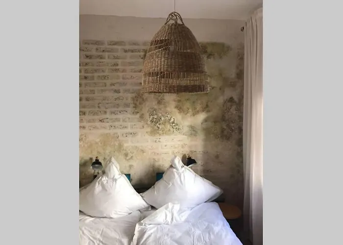 Wunderschoene Mit Blick Auf Weinberge 公寓 *